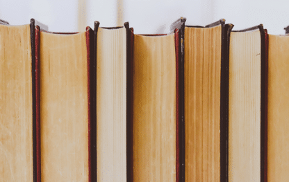 „Rząd książek ustawionych pionowo”